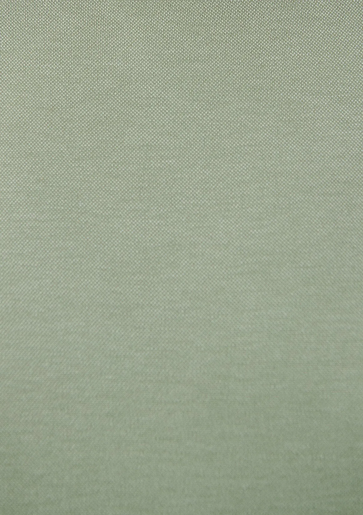 Basic T-Shirt