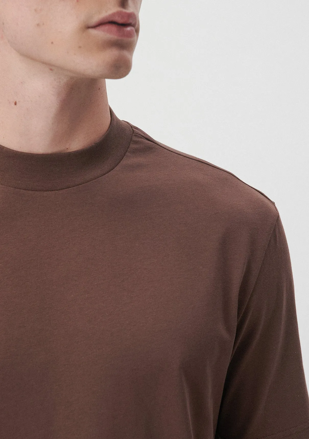 Crew Neck Brown Basic T-Shirt