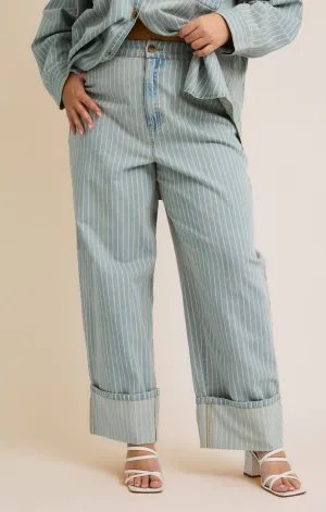 Curvy Kenna Stripe Denim