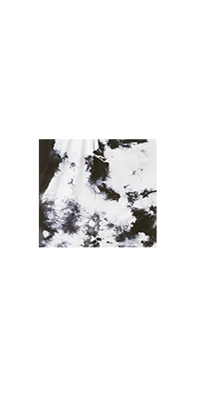 Donna Dress