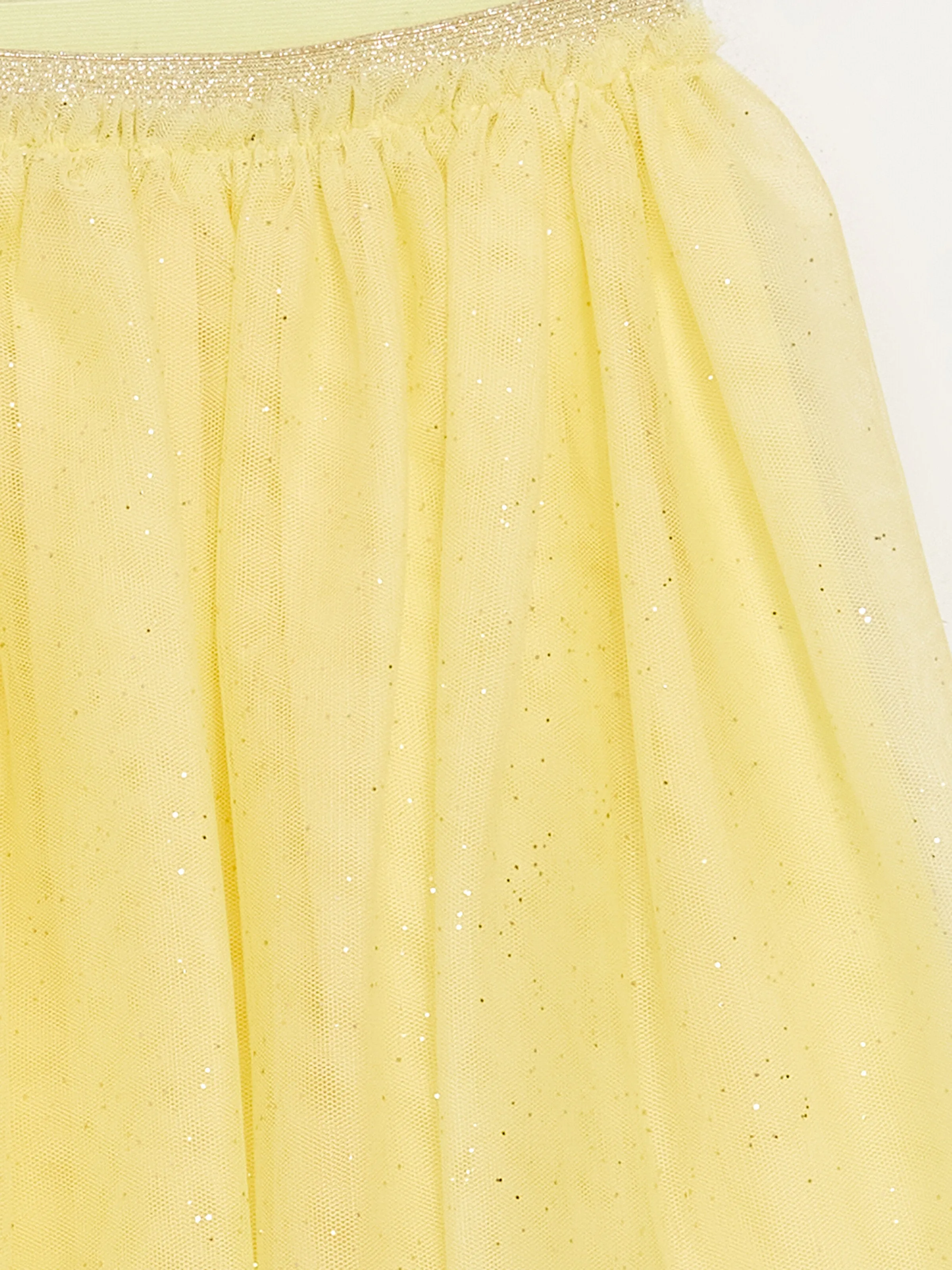 Girls Tutu Skirt With Elastic Waist