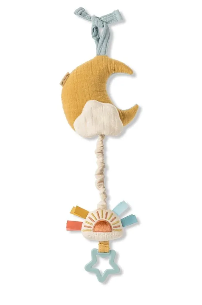 Itzy Ritzy - Bitzy Notes - Musical Pull Down - Cloud & Moon