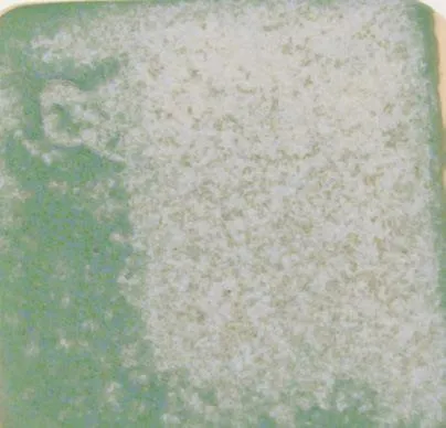 Northcote  Pottery Glaze Stoneware  Jade Green 500ml
