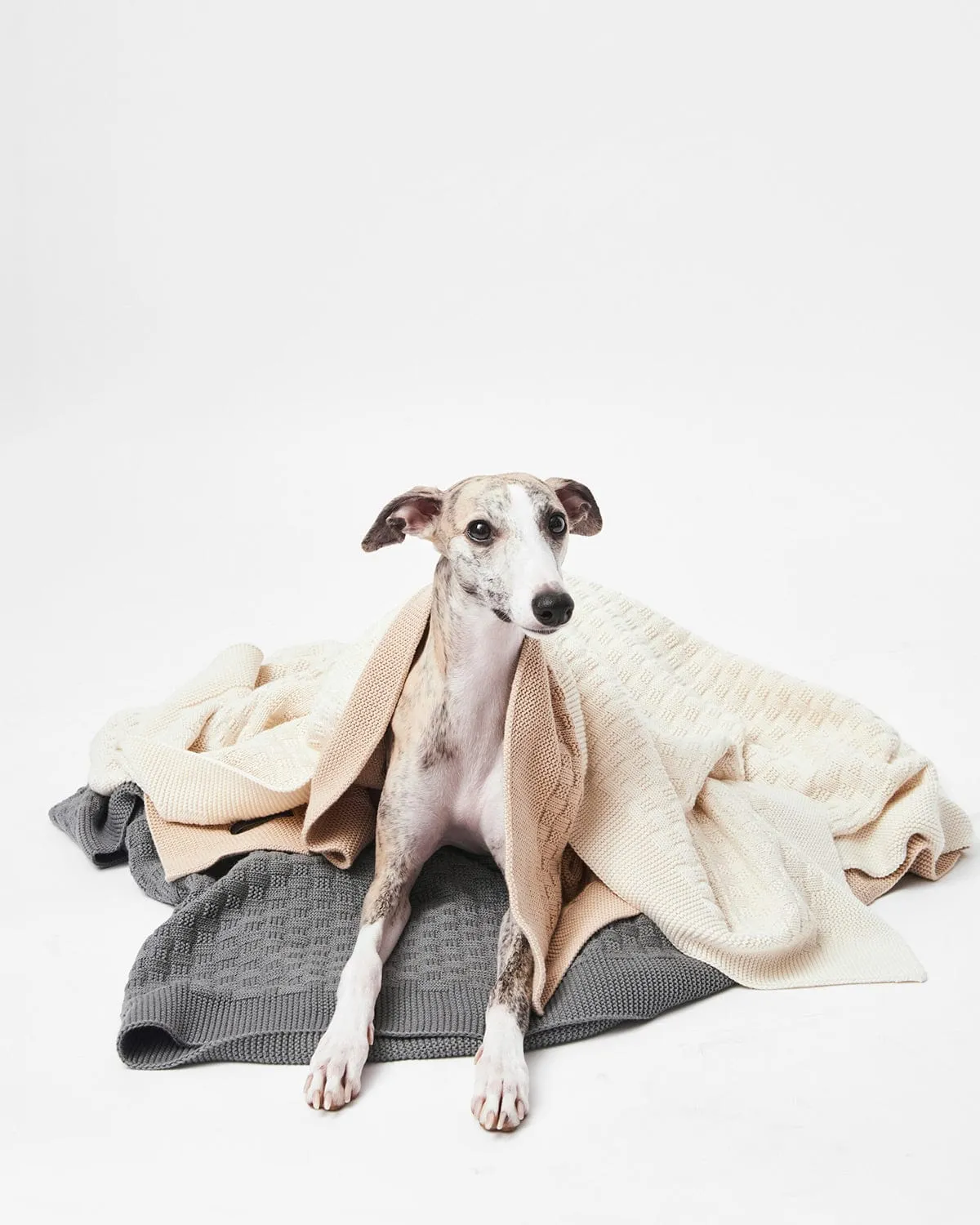 Organic Cotton Knitted Blanket | Cream