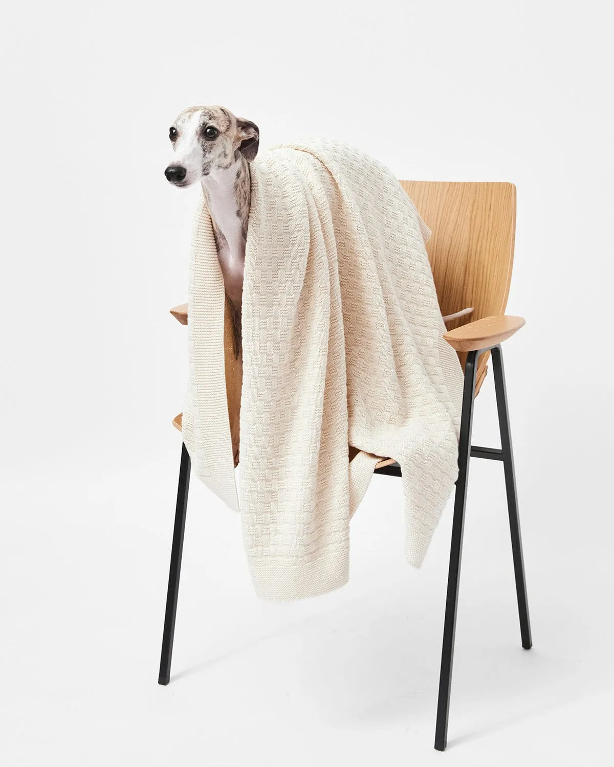 Organic Cotton Knitted Blanket | Cream