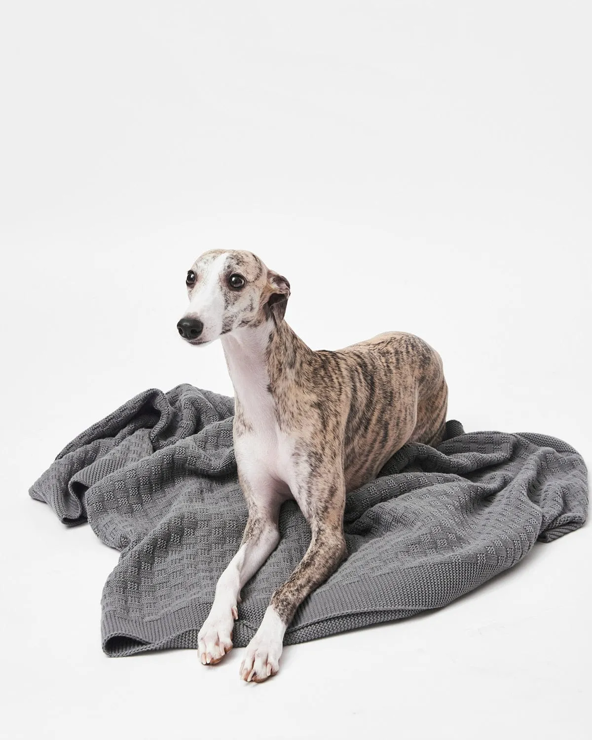 Organic Cotton Knitted Blanket | Grey