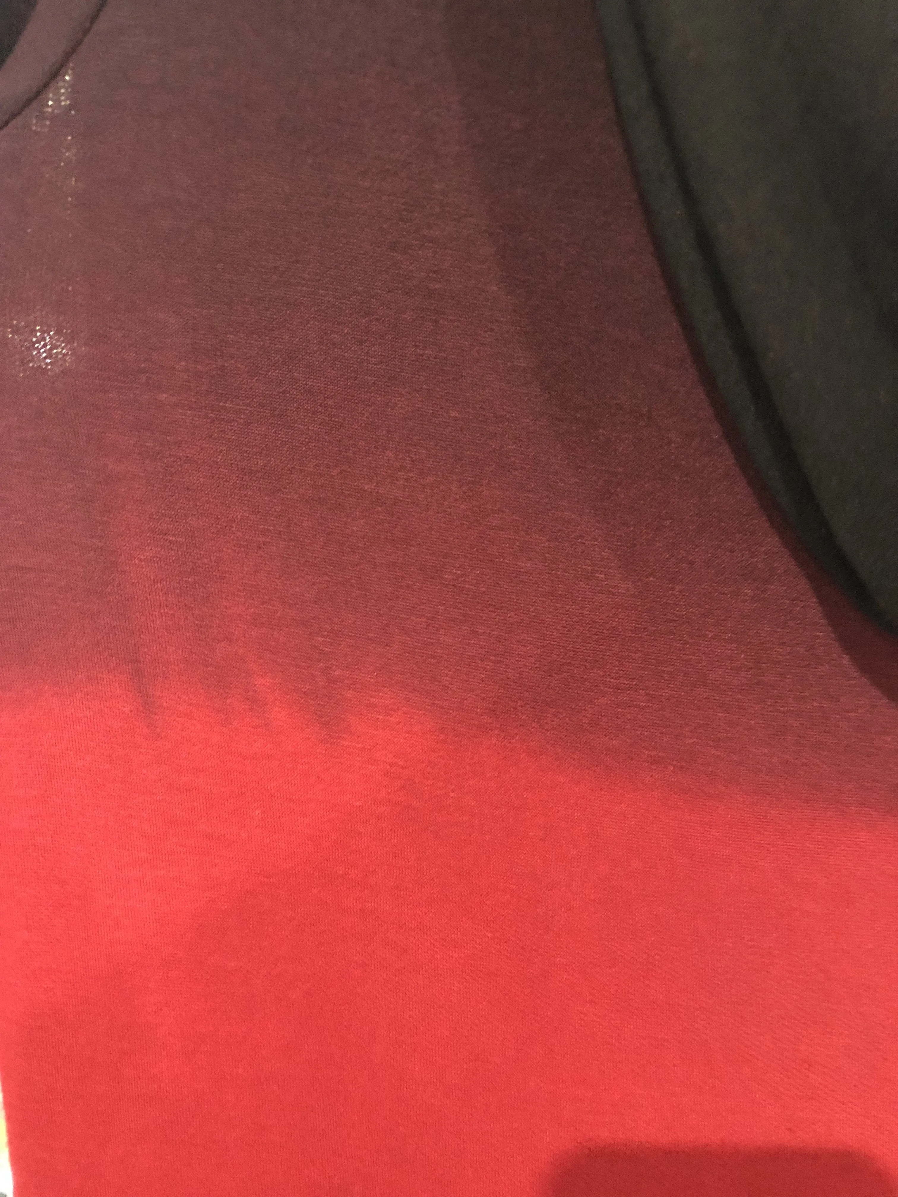Red Ombre Hoodie