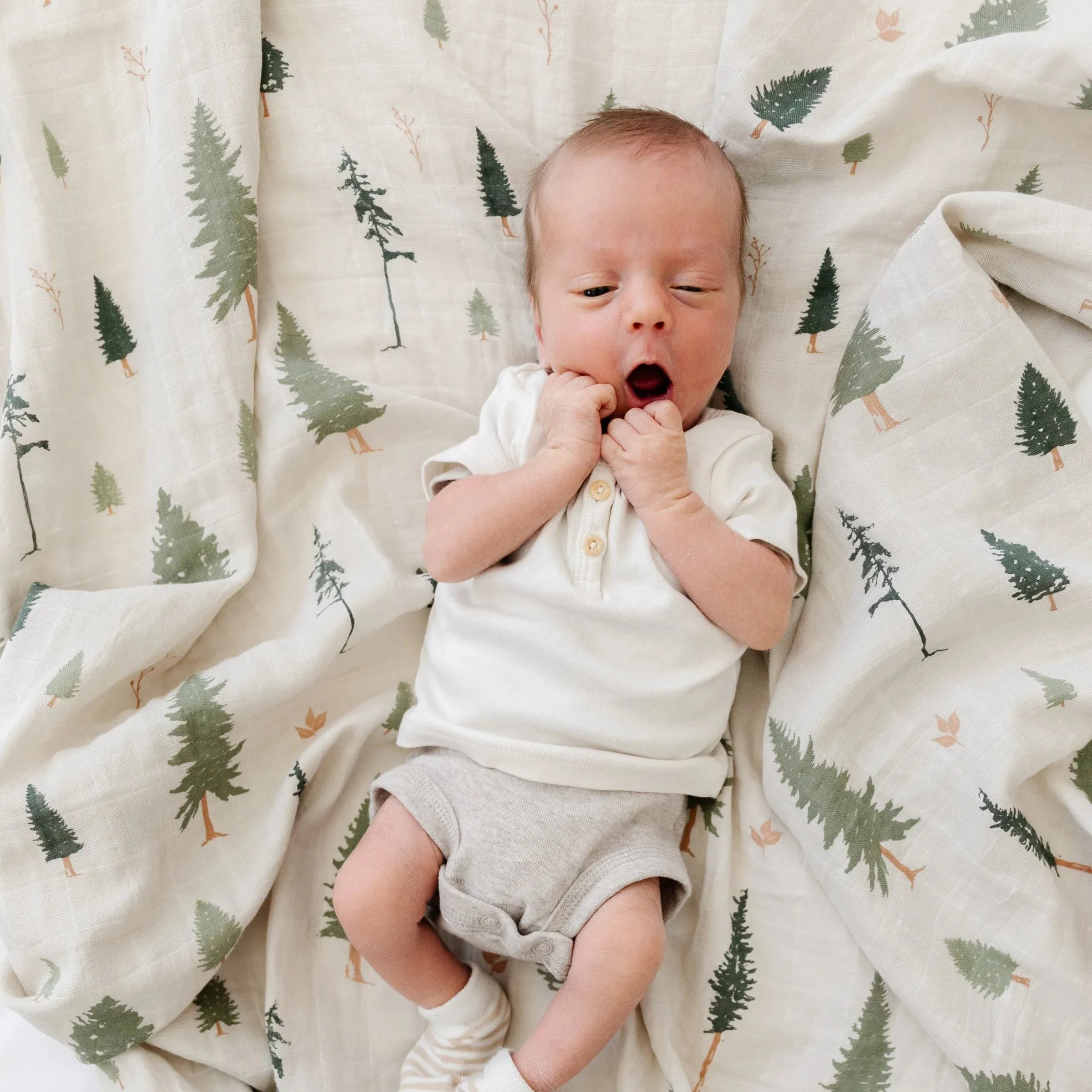 Saranoni - Cotton Muslin Swaddle (2 pack) - Pine