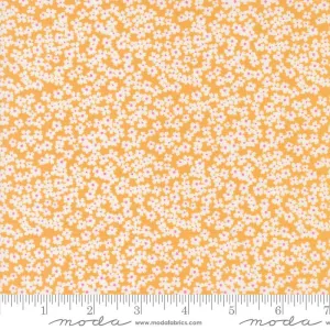 Shine by Moda Fabrics BLOOM/ORANGESICLE