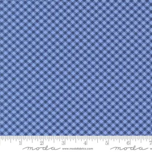 Star Spangled by Moda Fabrics SIMPLE CHECK/SHINING SEA