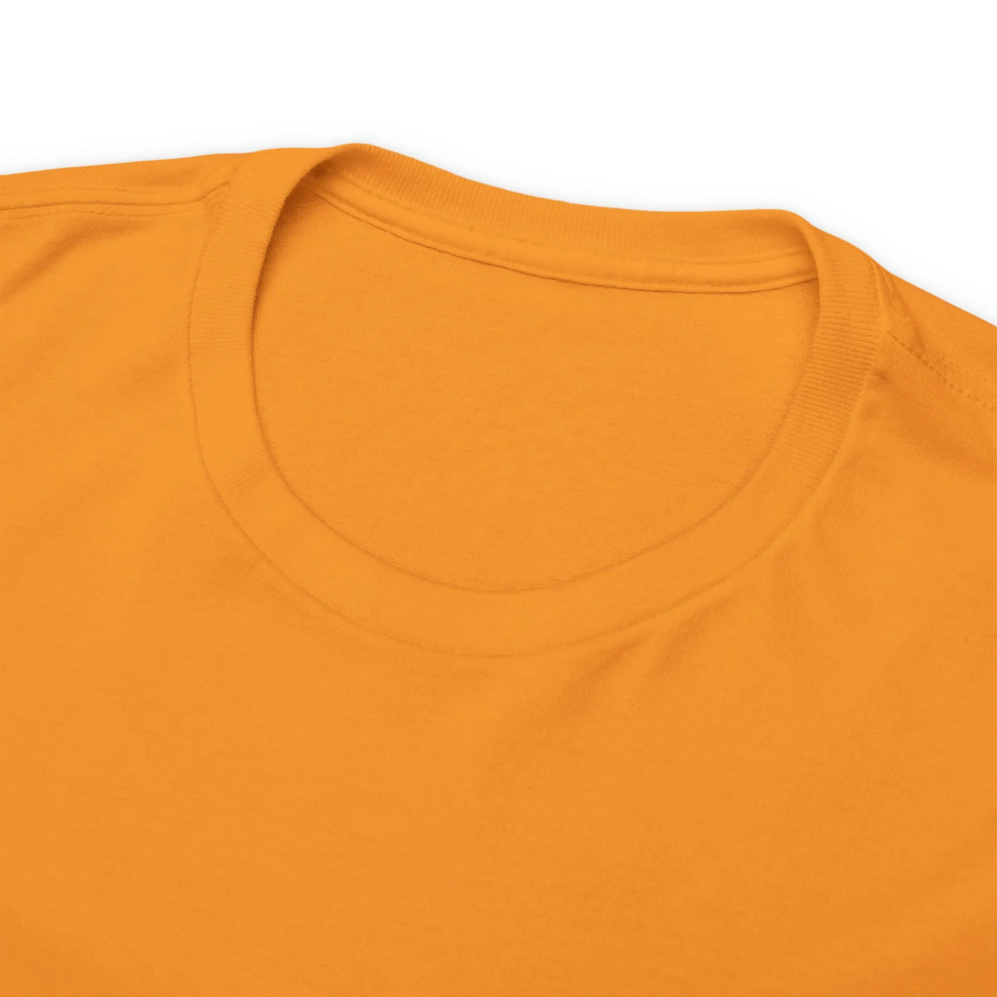 Unisex Heavy Cotton Tee-Breaking Barriers