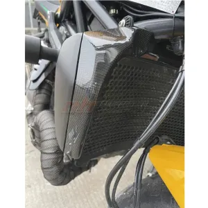 Water Tank Side Panel Fairing Cowling For Ducati Monster 821 1200 2014 2019 Full Carbon Fiber 100%